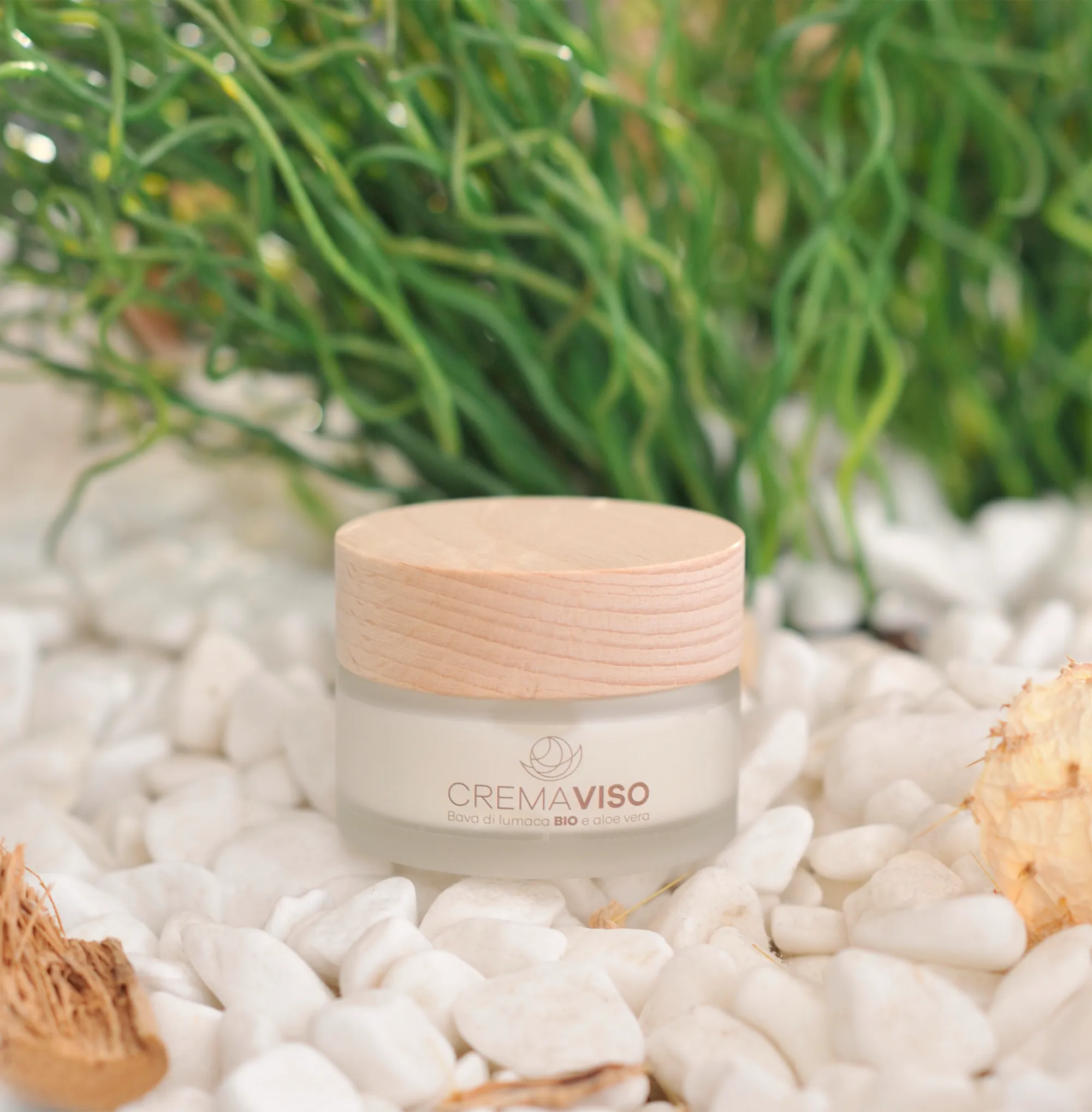 Crema per il Viso alla Bava di Lumaca 81,5% e Aloe Vera