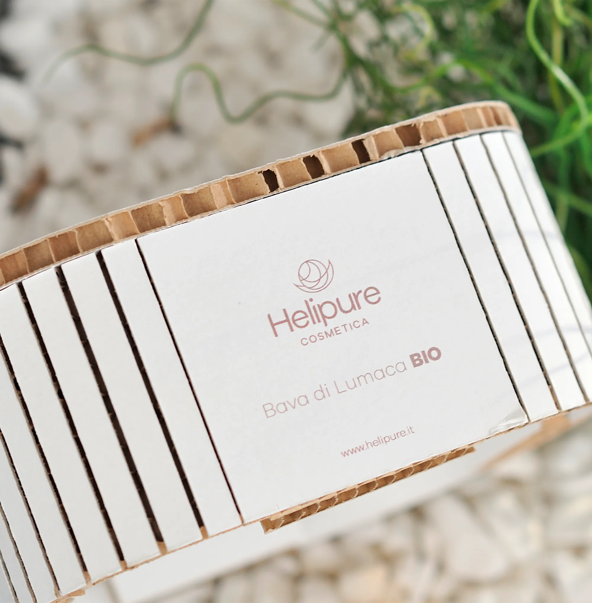 Promo Box | Siero Viso, Crema Viso e Contorno occhi